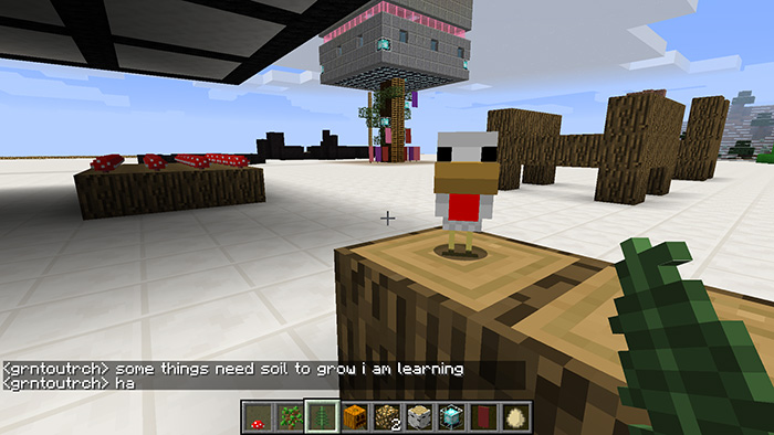 chicken